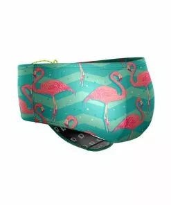Q Swimwear Flamingo Brief