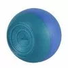 Training Aids Dolfin Training Kickball