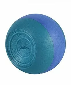 Training Aids Dolfin Training Kickball